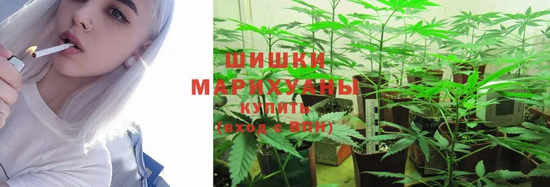 сколько стоит  Крымск  Марихуана SATIVA & INDICA 